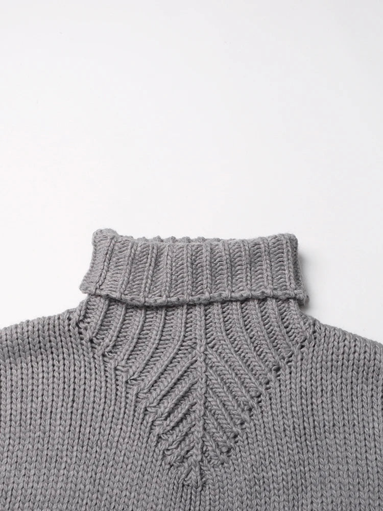 Winged Sleeves Turtleneck Knit Sweater